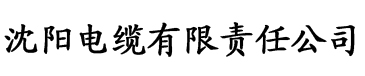 国产av综合精品久久久久成人电缆厂logo